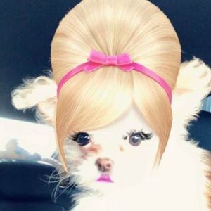 Meet your Posher, Angel-lynn